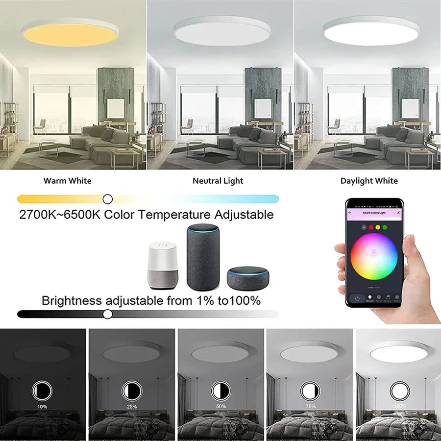 Tuya Smart WiFi Ceiling Light