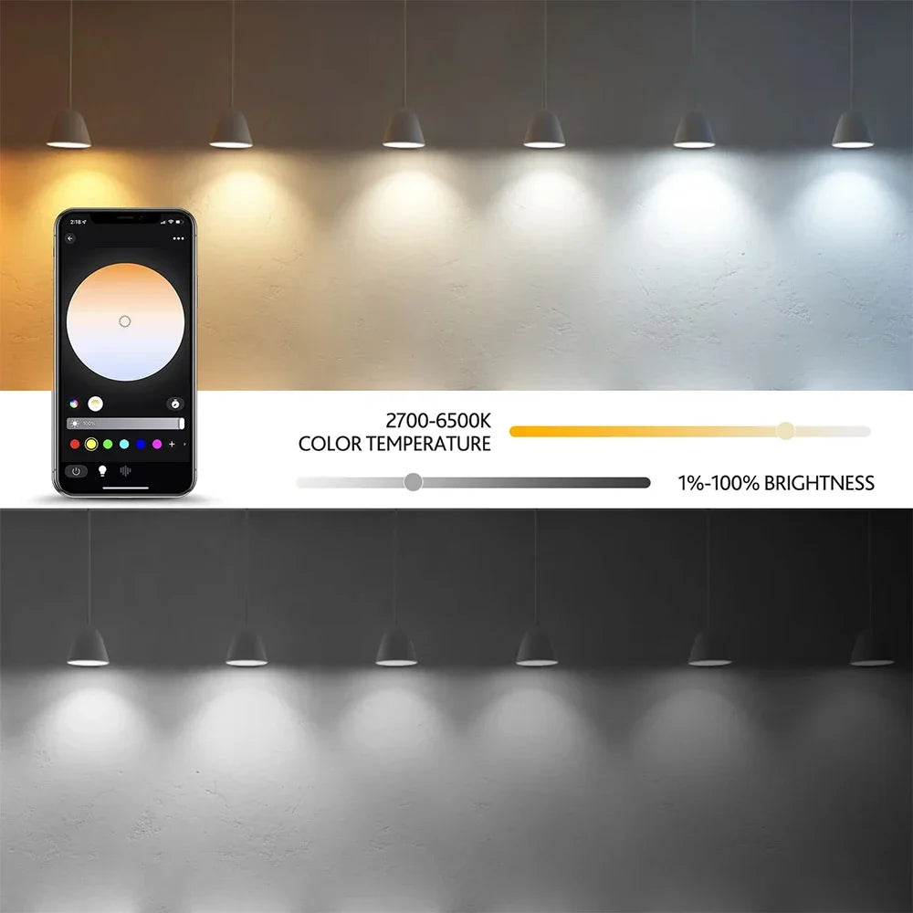 TNCE Tuya E27 Bulb Bluetooth/WIFI/Zigbee