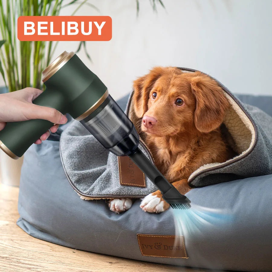 BELIBUY Wireless Car Vacuum Cleaner