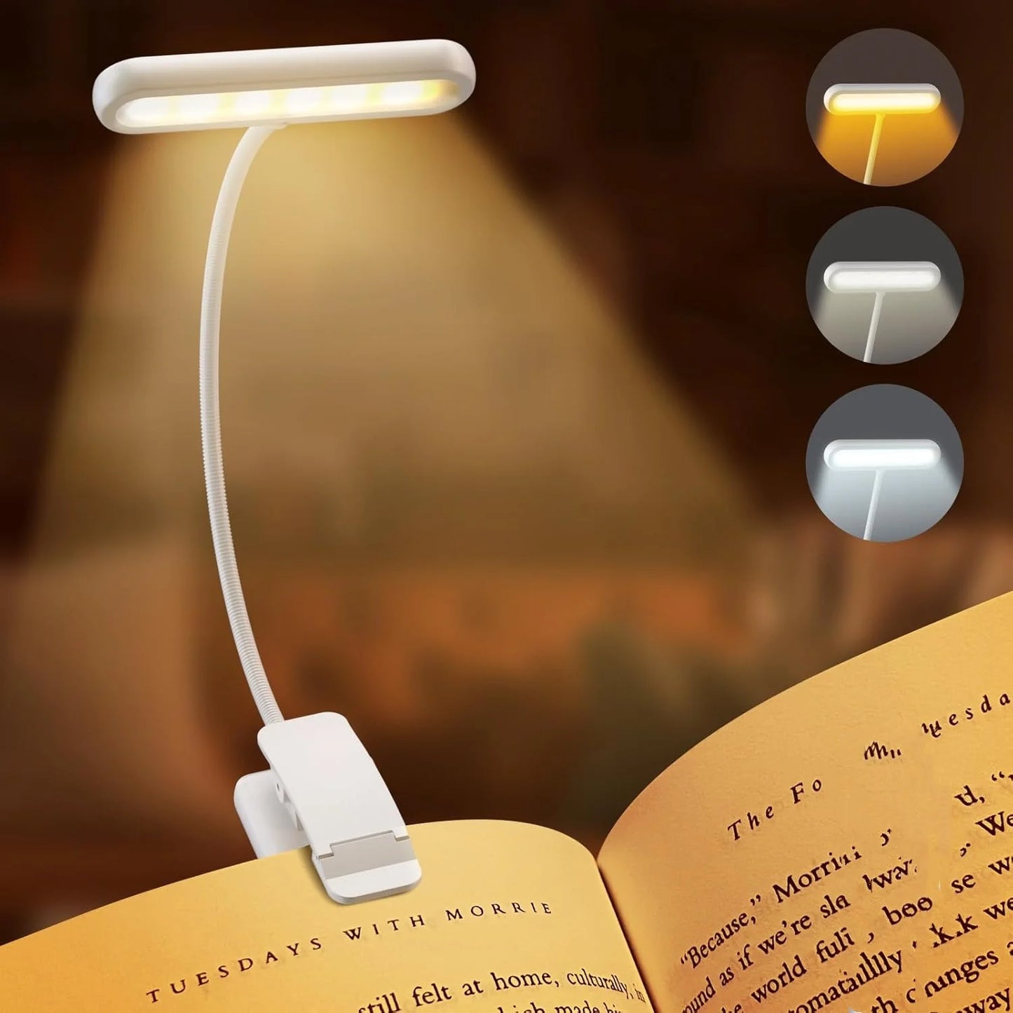 Rechargeable Reading Light