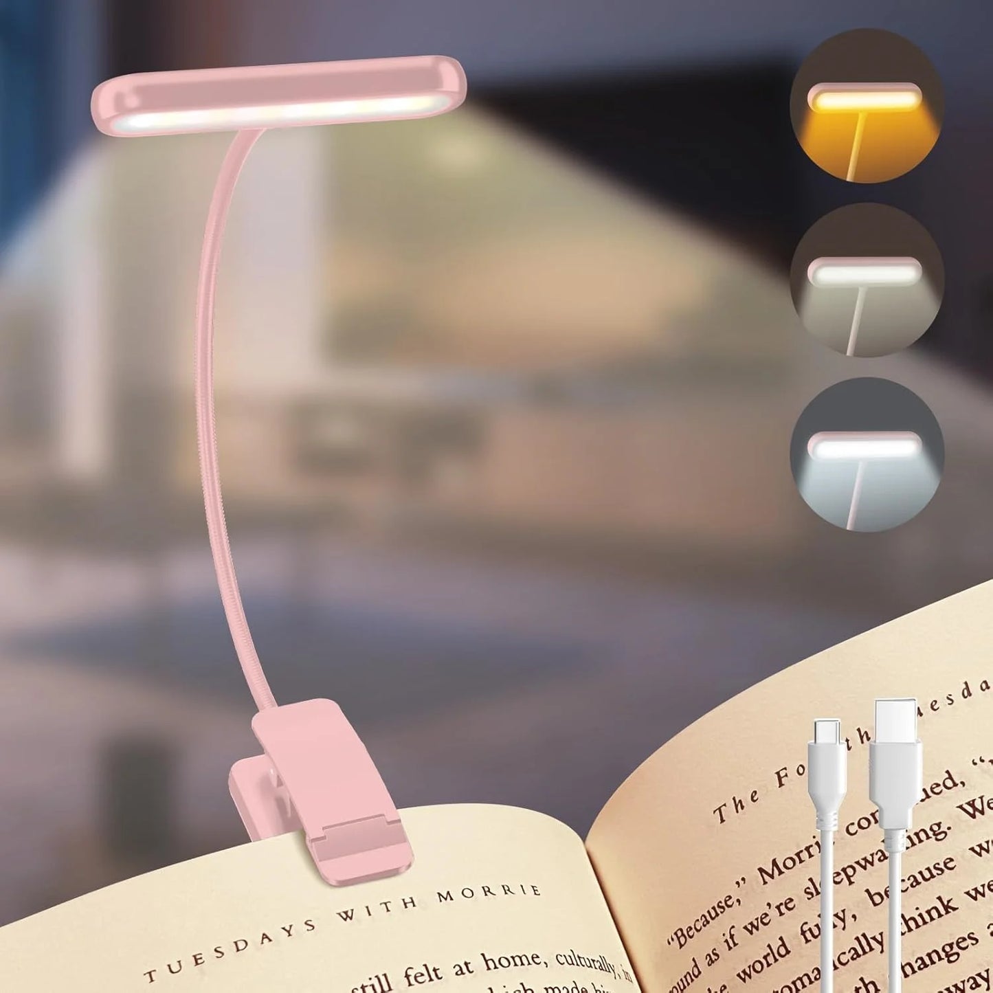 Rechargeable Reading Light